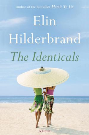 Book cover of The Identicals