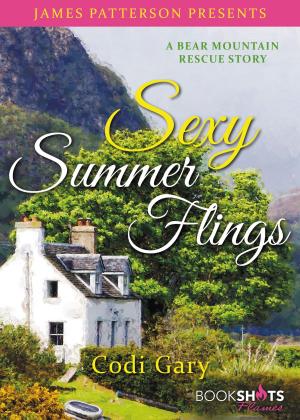 Cover of the book Sexy Summer Flings by Dan Fenton