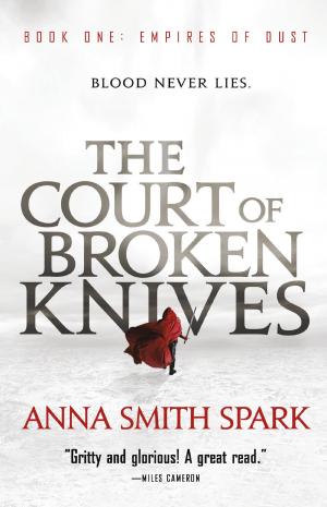 Cover of the book The Court of Broken Knives by Neil McFarlane