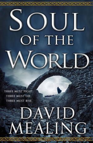 Cover of the book Soul of the World by Celine Kiernan