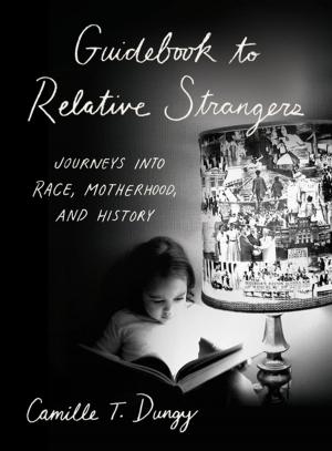 Cover of Guidebook to Relative Strangers: Journeys into Race, Motherhood, and History
