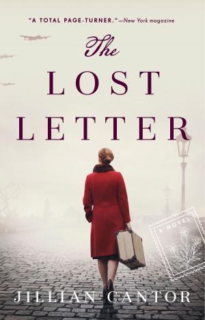 Cover of the book The Lost Letter by Nina Darnton