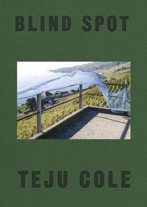 Cover of the book Blind Spot by DD White