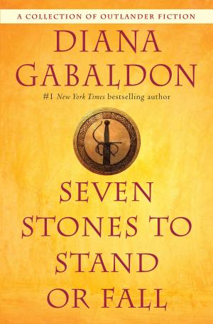 Cover of the book Seven Stones to Stand or Fall by David Gemmell