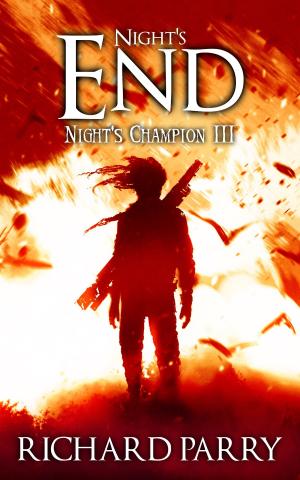 Cover of the book Night's End by K.M. Spires