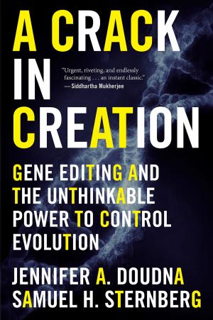 Cover of the book A Crack in Creation by Jennifer Hanson
