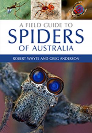 Cover of the book A Field Guide to Spiders of Australia by TJ Hatton