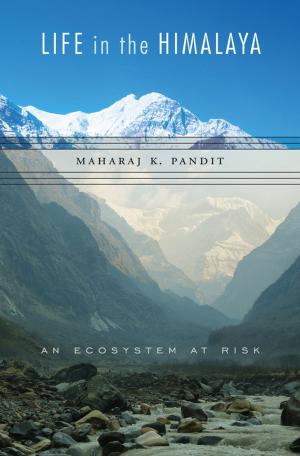 bigCover of the book Life in the Himalaya by 
