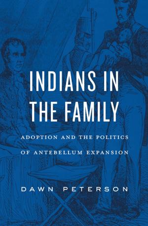 Cover of the book Indians in the Family by Robert L. Tsai