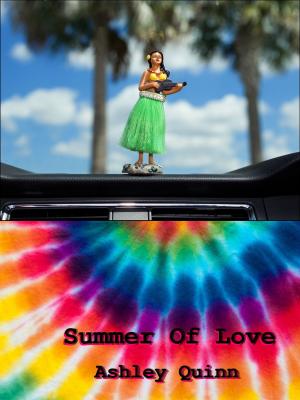 Cover of the book Summer Of Love by Michael J. Sahno