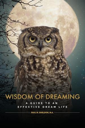 Book cover of Wisdom of Dreaming