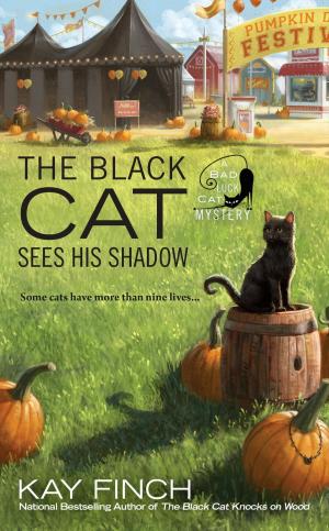 bigCover of the book The Black Cat Sees His Shadow by 