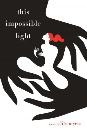 Cover of the book This Impossible Light by Steve Breen