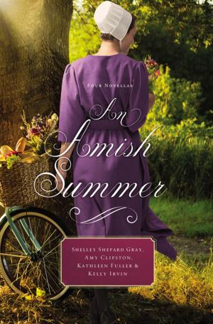 bigCover of the book An Amish Summer by 