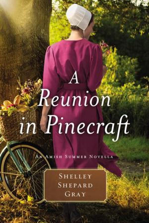 Cover of the book A Reunion in Pinecraft by Kent Spann, David A. Wheeler