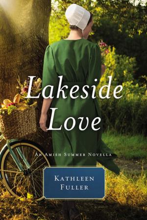 Cover of the book Lakeside Love by Connie Wetzell, Michelle Borquez