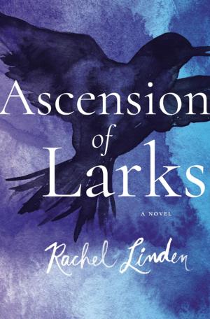 Cover of the book Ascension of Larks by L.A. Fiore