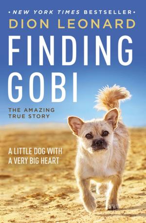 Book cover of Finding Gobi
