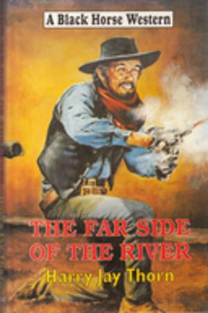 Book cover of The Far Side of the River