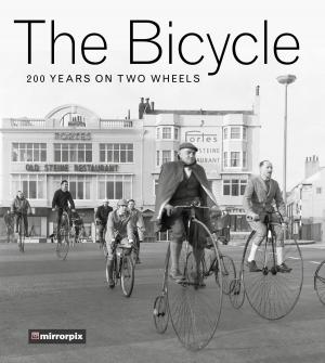 Cover of the book Bicycle by Michael J. Lisicky