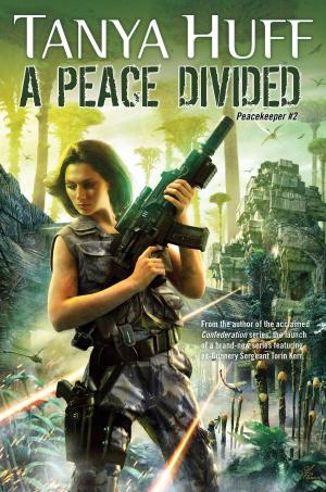 Cover of the book A Peace Divided by Kristen Britain