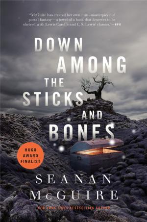 Cover of the book Down Among the Sticks and Bones by Robert Charles Wilson