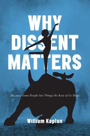 Cover of the book Why Dissent Matters by Matthew Hayday