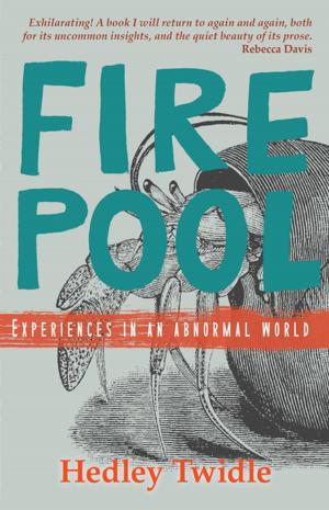 Cover of the book Firepool by Niq Mhlongo