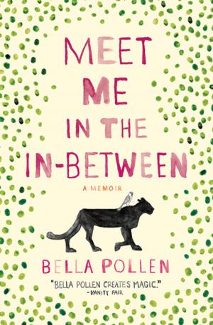 Cover of the book Meet Me in the In-Between by Jeanette Winterson