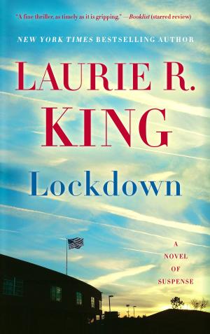 Cover of the book Lockdown by Bridget Asher