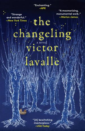 Cover of the book The Changeling by Amie Louellen, Amy Lillard