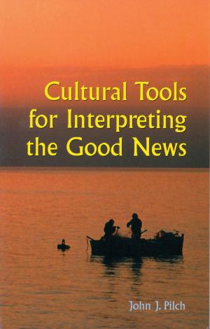Book cover of Cultural Tools for Interpreting the Good News