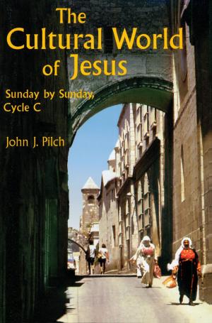 bigCover of the book The Cultural World Of Jesus: Sunday By Sunday, Cycle C by 