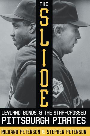 Cover of the book The Slide by Ilan Stavans