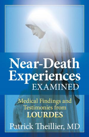 Cover of the book Near-Death Experiences Examined by Barbara Fiand, Barbara Fiand