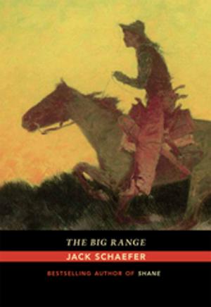 Cover of the book The Big Range by Lois Palken Rudnick