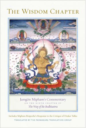 Cover of the book The Wisdom Chapter by Anyen Rinpoche