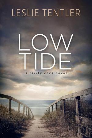 Book cover of Low Tide (Rarity Cove Book 2)