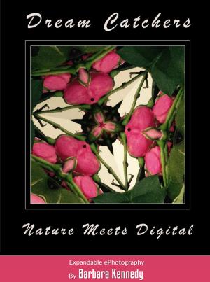 Cover of the book DREAM CATCHERS - Nature Meets Digital by John D Williams