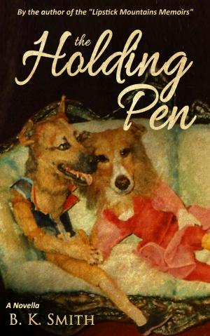 Cover of the book The Holding Pen by S.L. Naeole