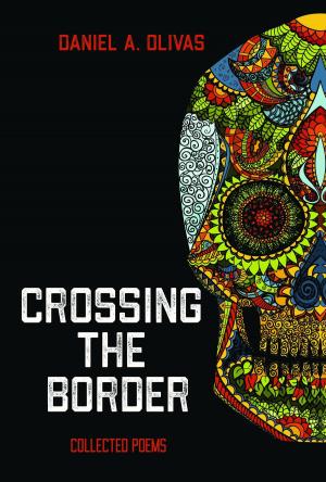 Cover of the book Crossing the Border by Bob Ivers