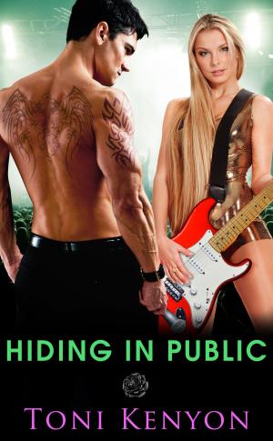 Book cover of Hiding in Public