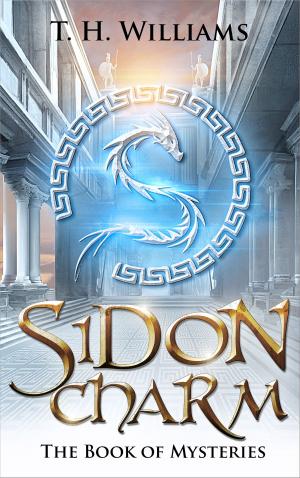 Cover of the book Sidon Charm: The Book of Mysteries by Charles Streams