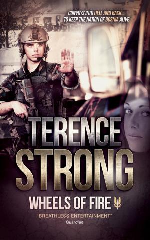 Cover of the book WHEELS OF FIRE by Terence Strong