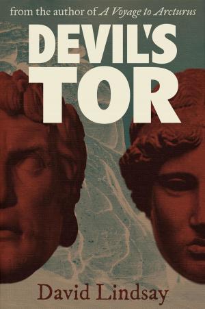 Book cover of Devil's Tor