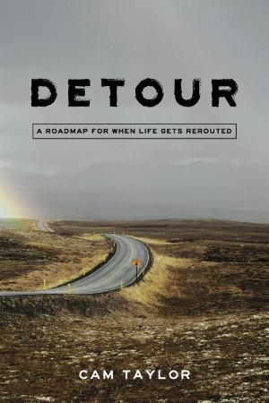 Cover of the book Detour by Salma Abdulatif