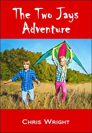 Book cover of The Two Jays Adventure