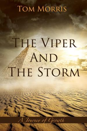 Book cover of The Viper and the Storm