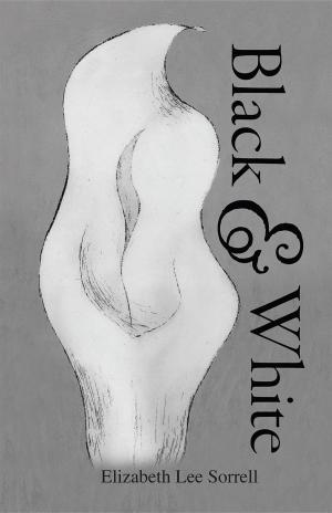 Cover of the book Black & White by CC Rose