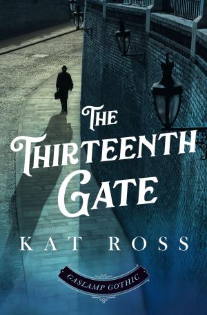 Book cover of The Thirteenth Gate